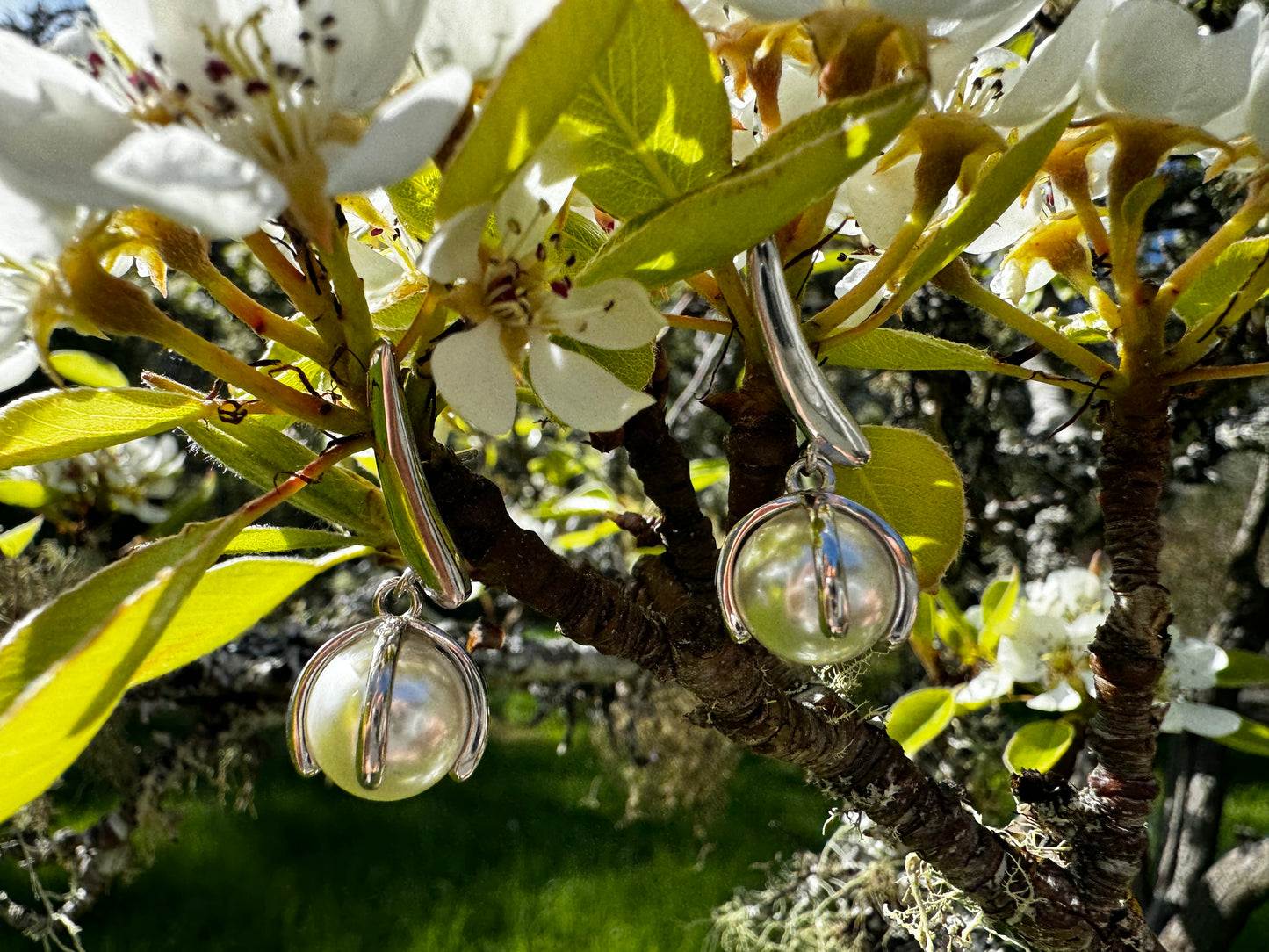 Silver pearl earrings